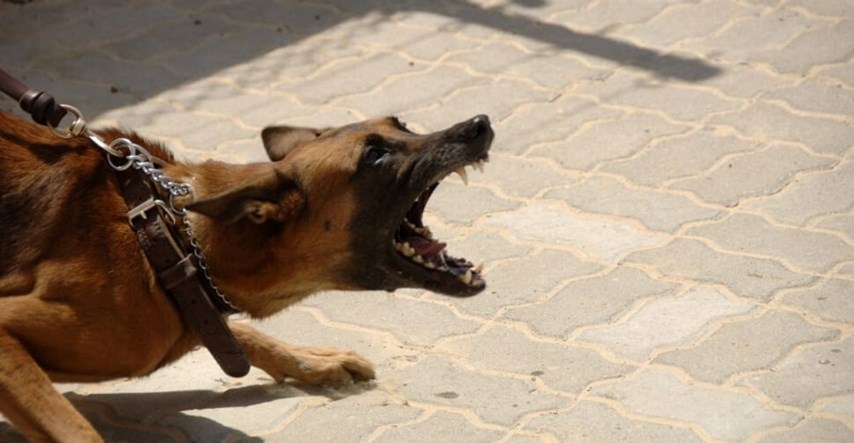 Psi rastrgali austrijskog časnika u vojarni kod Beča